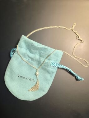 *LIKE NEW* Tiffany & Co. Elsa Peretti Mesh necklace 925
